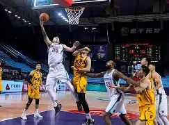 爱游戏体育官网-山东男篮转会期强势反弹辽宁本钢关键时刻扳平良机，现场解说直呼：迈阿密热火今夜门线救险
