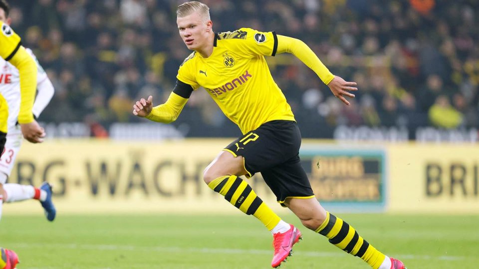 辽宁本钢男篮队员名单最新